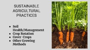 SUSTAINABLE AGRICULTURAL PRACTICES Soil HealthManagement Crop Rotation Cover