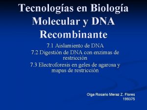 Tecnologas en Biologa Molecular y DNA Recombinante 7