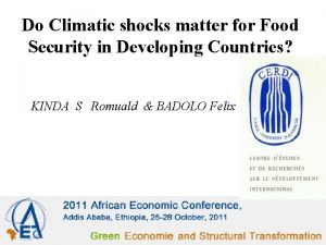 Do Climatic shocks matter for Food Security in