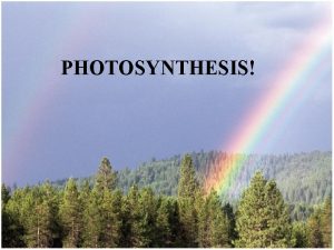 PHOTOSYNTHESIS Where does Photosynthesis Take Place Photosynthesis Overview