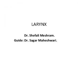 LARYNX Dr Shefali Meshram Guide Dr Sagar Maheshwari