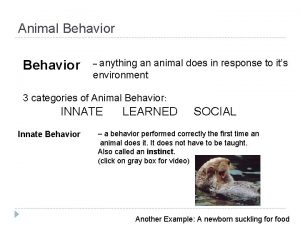Animal Behavior anything an animal does in response