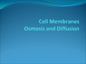 Cell Membranes Osmosis and Diffusion Phospholipid Bilayer Functions