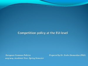 European Common Policies 20132014 Academic Year Spring Semester