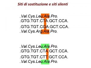 Siti di sostituzione e siti silenti Val Cys