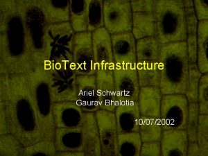Bio Text Infrastructure Ariel Schwartz Gaurav Bhalotia 10072002