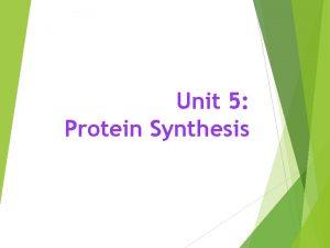 Unit 5 Protein Synthesis Protein Synthesis The process