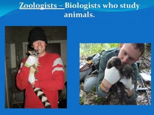 Zoologists Biologists who study animals Entomologists Scientists who