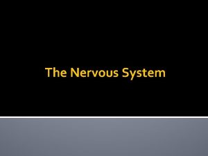 The Nervous System Nervous System Divided into 1