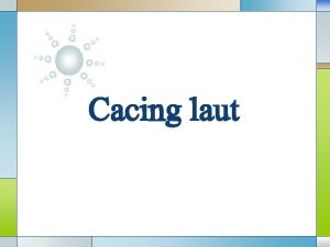 Cacing laut LOGO Contents Less Protostome v Phylum