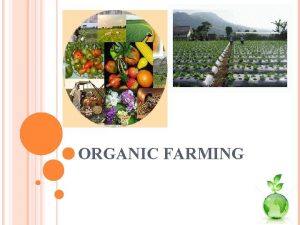 ORGANIC FARMING ORGANIK OR NON ORGANIK LATAR BELAKANG