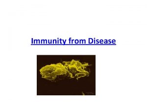 Immunity from Disease What Youll Learn You will
