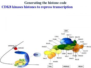 Generating the histone code CDK 8 kinases histones