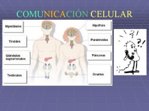 COMUNICACIN CELULAR Evidencias de aprendizaje Al finalizar la