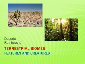 Deserts Rainforests TERRESTRIAL BIOMES FEATURES AND CREATURES DESERTS