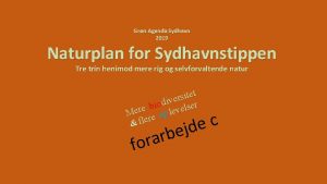 Grn Agenda Sydhavn 2019 Naturplan for Sydhavnstippen Tre