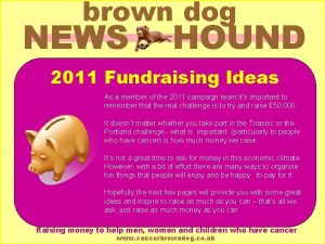 brown dog NEWS HOUND 2011 Fundraising Ideas As