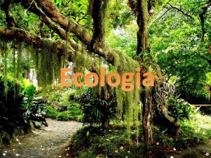 Ecologia Ecologia do grego oikos casa e logos