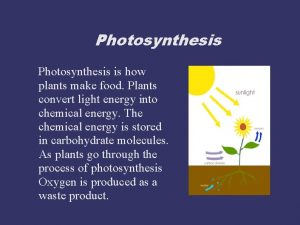Photosynthesis is how plants make food Plants convert