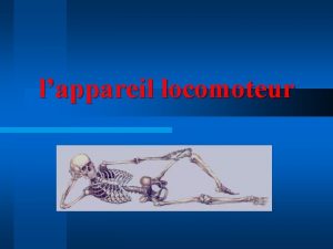 lappareil locomoteur INTRODUCTION Ostologie tude du systme osseux