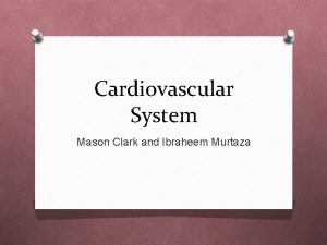 Cardiovascular System Mason Clark and Ibraheem Murtaza Blood