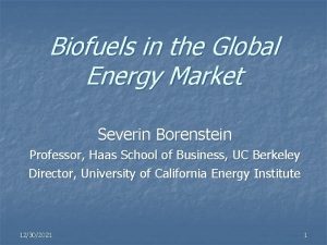 Biofuels in the Global Energy Market Severin Borenstein