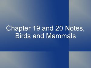 Chapter 19 and 20 Notes Birds and Mammals