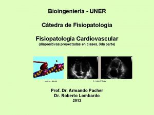 Bioingeniera UNER Ctedra de Fisiopatologa Cardiovascular diapositivas proyectadas