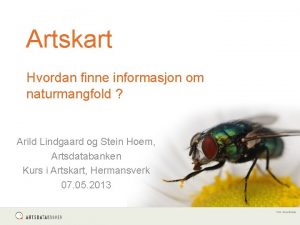 Artskart Hvordan finne informasjon om naturmangfold Arild Lindgaard