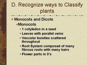 D Recognize ways to Classify plants Monocots and