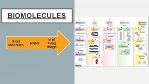 BIOMOLECULES Small Molecules found In all living things