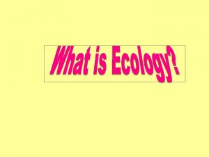 Ecology is the study of interactions among organisms
