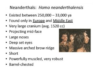 Neanderthals Homo neanderthalensis Existed between 250 000 33