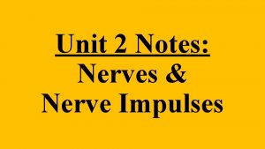 Unit 2 Notes Nerves Nerve Impulses 1 Nerves