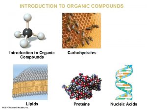 INTRODUCTION TO ORGANIC COMPOUNDS Introduction to Organic Compounds