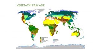 VEGETAN PSY ASIE POLRN OBLASTI Nejsevernj oblasti Oblast