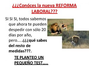 Conces la nueva REFORMA LABORAL SI SI SI