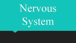Nervous System Nervous System Made of the structures