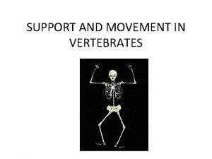 SUPPORT AND MOVEMENT IN VERTEBRATES SKELETAL SYSTEMS Vertebrates