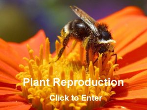 Plant Reproduction Click to Enter Plant Reproduction Home