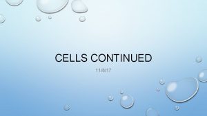 CELLS CONTINUED 11817 HOW WE CLASSIFY CELLS PROKARYOTIC