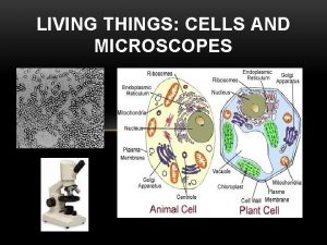 LIVING THINGS CELLS AND MICROSCOPES LIVING VS NONLIVING