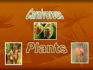 Carnivorous Plants If an animal eats a plant