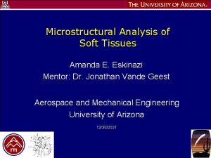 Microstructural Analysis of Soft Tissues Amanda E Eskinazi