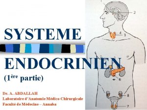 SYSTEME ENDOCRINIEN 1re partie Dr A ABDALLAH Laboratoire