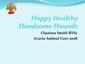 Happy Healthy Handsome Hounds Charissa Smith BVSc Acacia