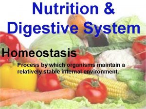 Nutrition Digestive System Homeostasis Process by which organisms