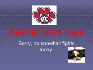 Bearcat Snow Days Sorry no snowball fights today