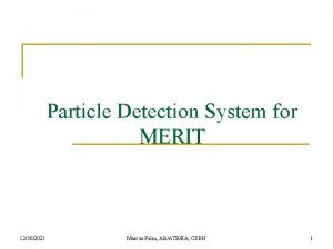 Particle Detection System for MERIT 12302021 Marcus Palm