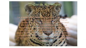 IIZoo de Martinique Le premier zoo de Martinique